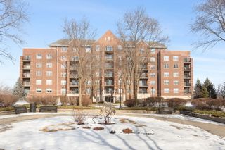 440 W Mahogany Court 608, Palatine, IL 60067