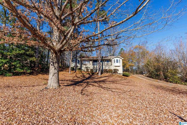 226 SNAKE HILL ROAD, Trussville, AL 35173