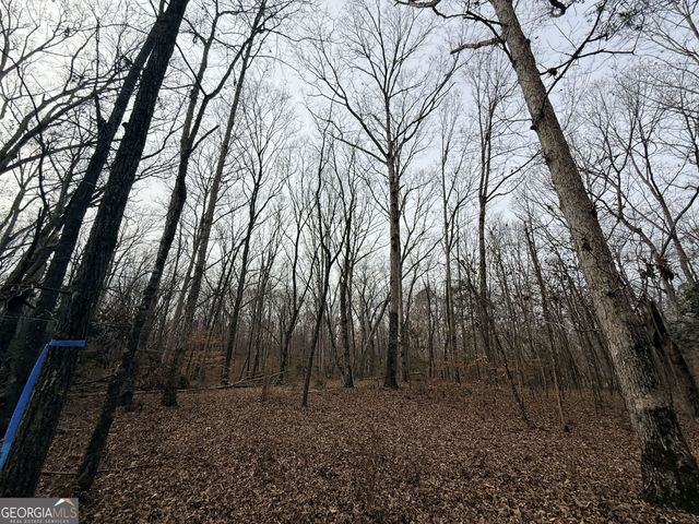 1 Far A Way Road, Elberton, GA 30635