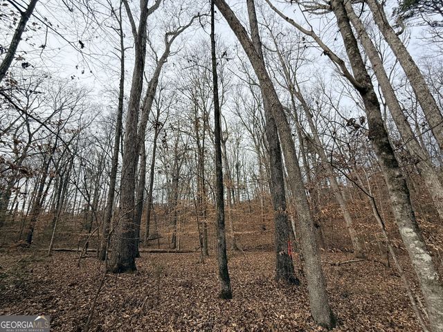 1 Far A Way Road, Elberton, GA 30635