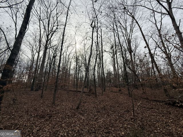 1 Far A Way Road, Elberton, GA 30635