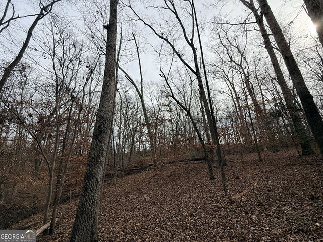 1 Far A Way Road, Elberton, GA 30635