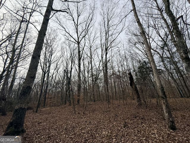 1 Far A Way Road, Elberton, GA 30635