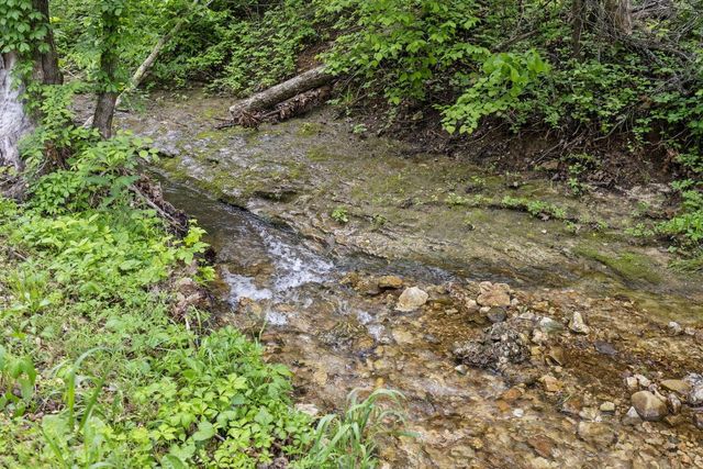 1226 Peace In Valley Road, Blue Eye, MO 65611