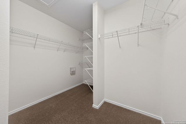 10122 Cactus Valley, San Antonio, TX 78254