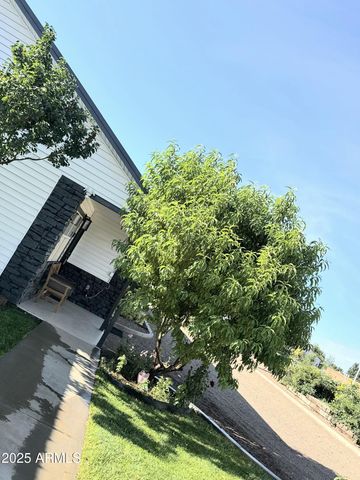 775 N APPLE BLOSSOM Lane, Snowflake, AZ 85937