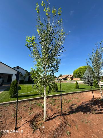 775 N APPLE BLOSSOM Lane, Snowflake, AZ 85937