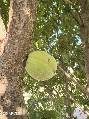 775 N APPLE BLOSSOM Lane, Snowflake, AZ 85937