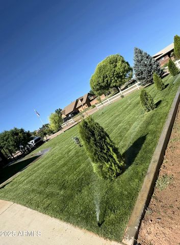 775 N APPLE BLOSSOM Lane, Snowflake, AZ 85937