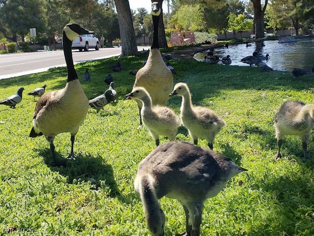 2816 Klondike Court, Las Vegas, NV 89117