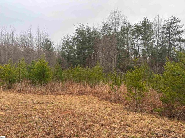 0 Hwy 414, Landrum, SC 29356