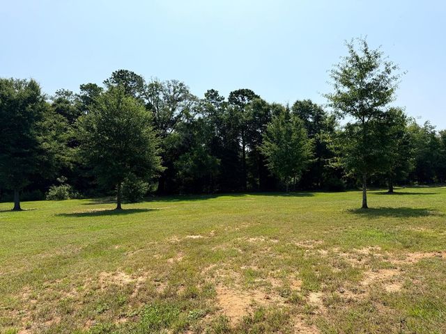320 Blake Drive, Midland City, AL 36350