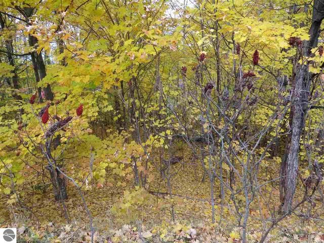 Lot 81 Eden Street, Kingsley, MI 49649