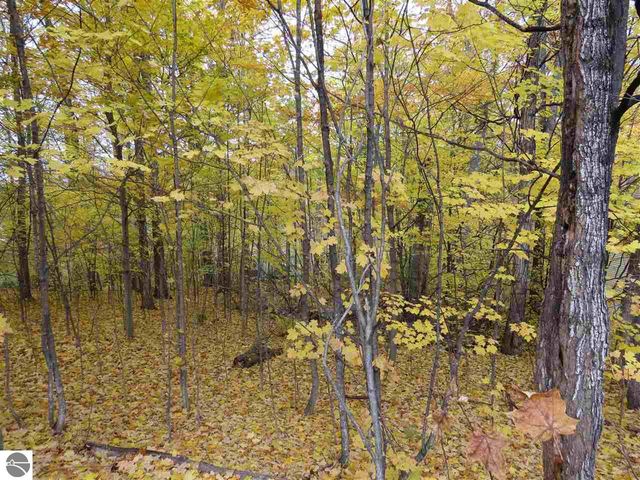 Lot 81 Eden Street, Kingsley, MI 49649