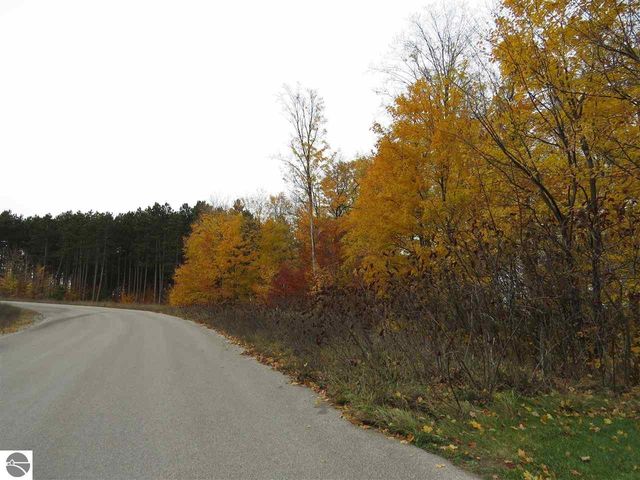 Lot 81 Eden Street, Kingsley, MI 49649