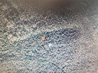 HOLOPAW GROVES ROAD, St Cloud, FL 34771