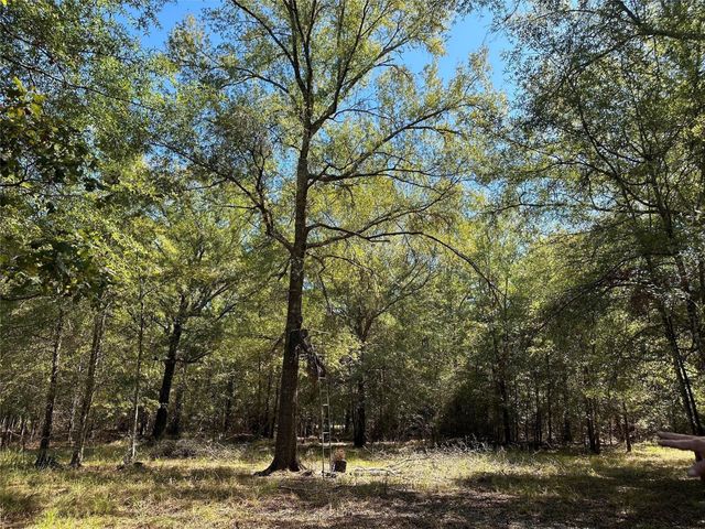 TBD Somerset Trail Road, Point Blank, TX 77364