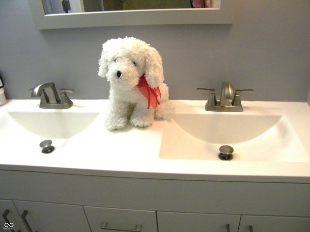 4278 Woodsage Trace, Indianapolis, IN 46237