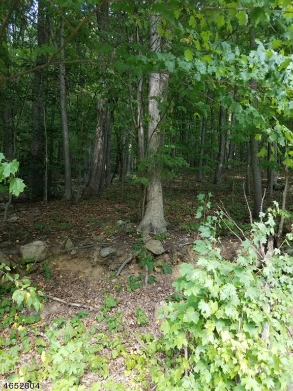 1128 Route 10, Randolph Twp., NJ 07869 — exterior