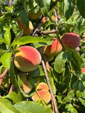 417 Greenwood Avenue, Canon City, CO 81212