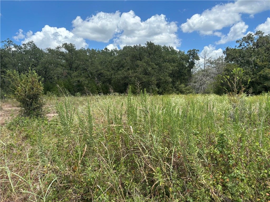 6018 Straub, College Station, TX 77845 — photo 4
