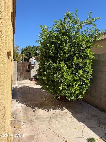 5313 E HILTON Avenue, Mesa, AZ 85206