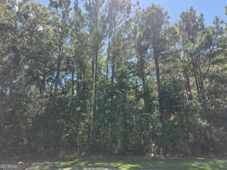 LOT 143 Canopy Lane, Waverly, GA 31565
