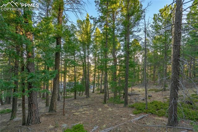 88 Malmsey Lane, Divide, CO 80814