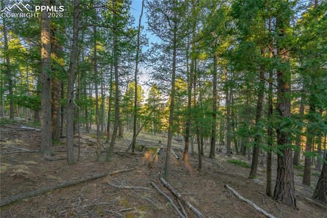 88 Malmsey Lane, Divide, CO 80814