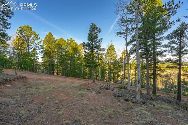 88 Malmsey Lane, Divide, CO 80814