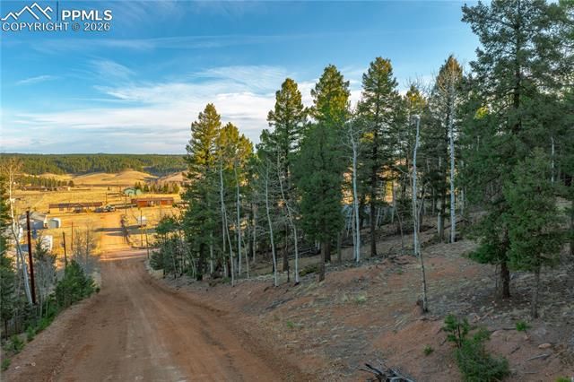 88 Malmsey Lane, Divide, CO 80814