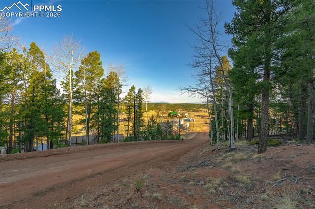 88 Malmsey Lane, Divide, CO 80814