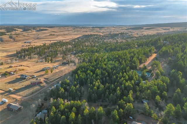 88 Malmsey Lane, Divide, CO 80814