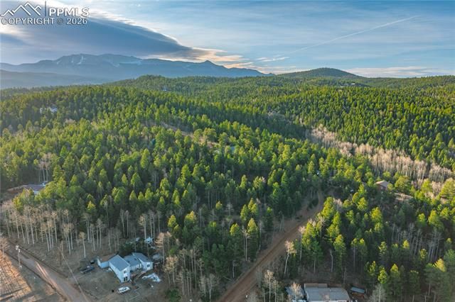 88 Malmsey Lane, Divide, CO 80814