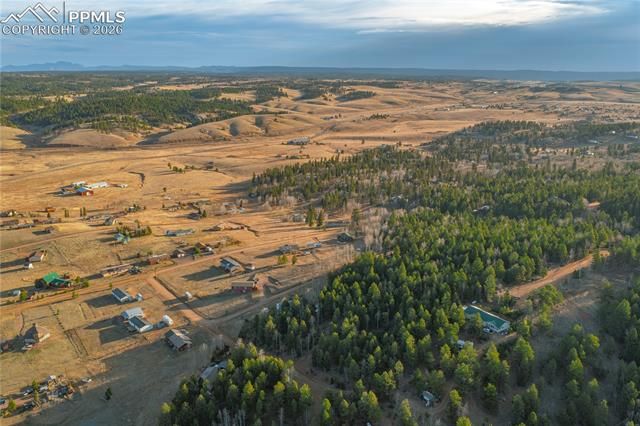 88 Malmsey Lane, Divide, CO 80814