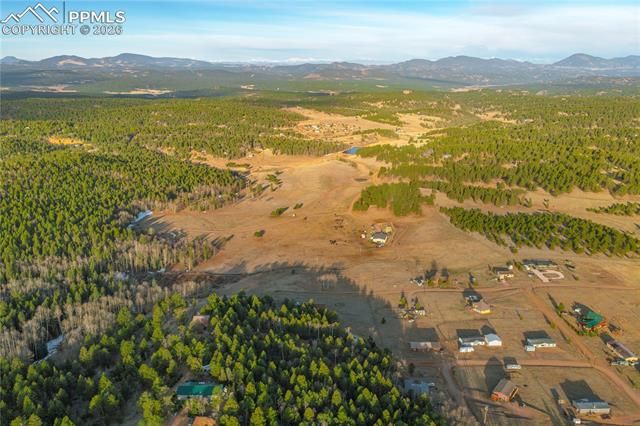88 Malmsey Lane, Divide, CO 80814