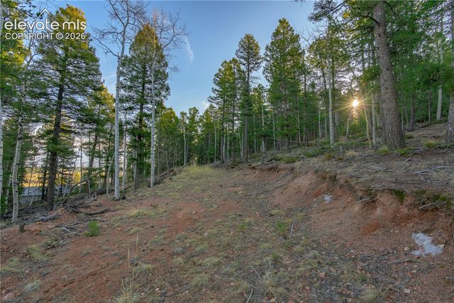 88 Malmsey Lane, Divide, CO 80814