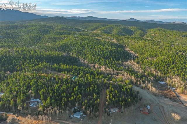 88 Malmsey Lane, Divide, CO 80814