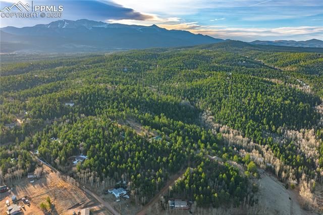 88 Malmsey Lane, Divide, CO 80814