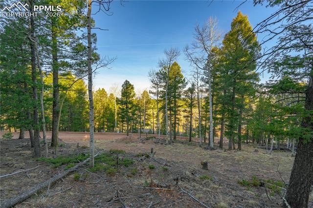 88 Malmsey Lane, Divide, CO 80814
