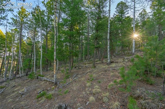 88 Malmsey Lane, Divide, CO 80814