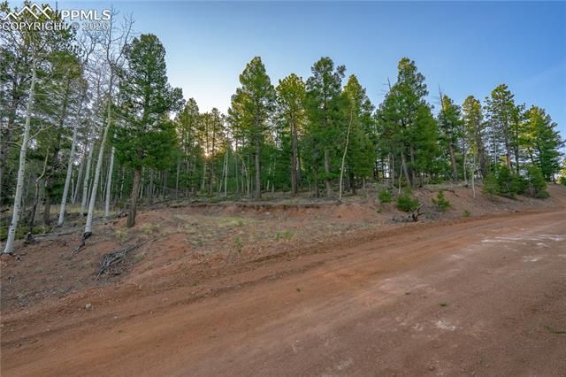 88 Malmsey Lane, Divide, CO 80814