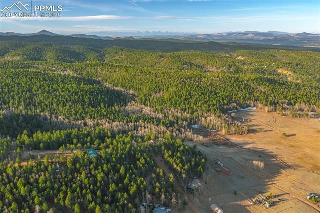 88 Malmsey Lane, Divide, CO 80814