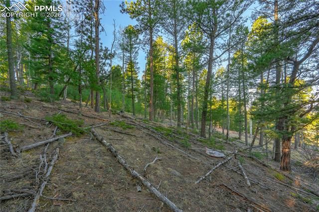 88 Malmsey Lane, Divide, CO 80814