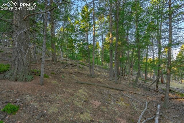 88 Malmsey Lane, Divide, CO 80814