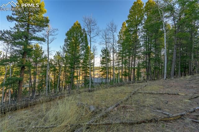88 Malmsey Lane, Divide, CO 80814