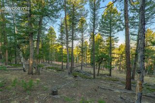 88 Malmsey Lane, Divide, CO 80814