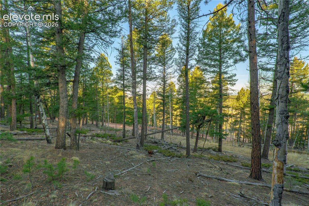 88 Malmsey Lane, Divide, CO 80814