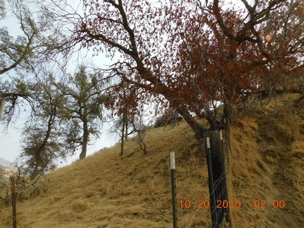 Image 6 of property listing at 0 Bellows Dr., Sanger, CA 93657