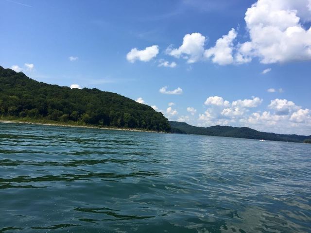 302 Swiper Dr, Smithville, TN 37166